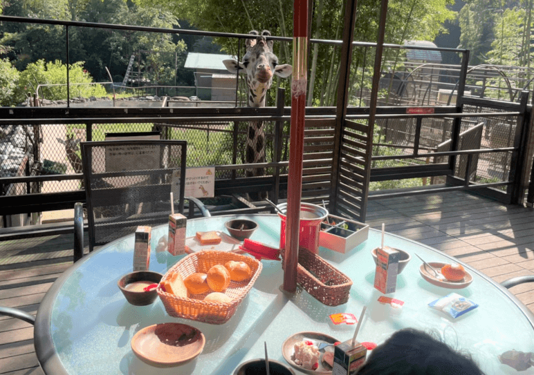 キリンと朝食